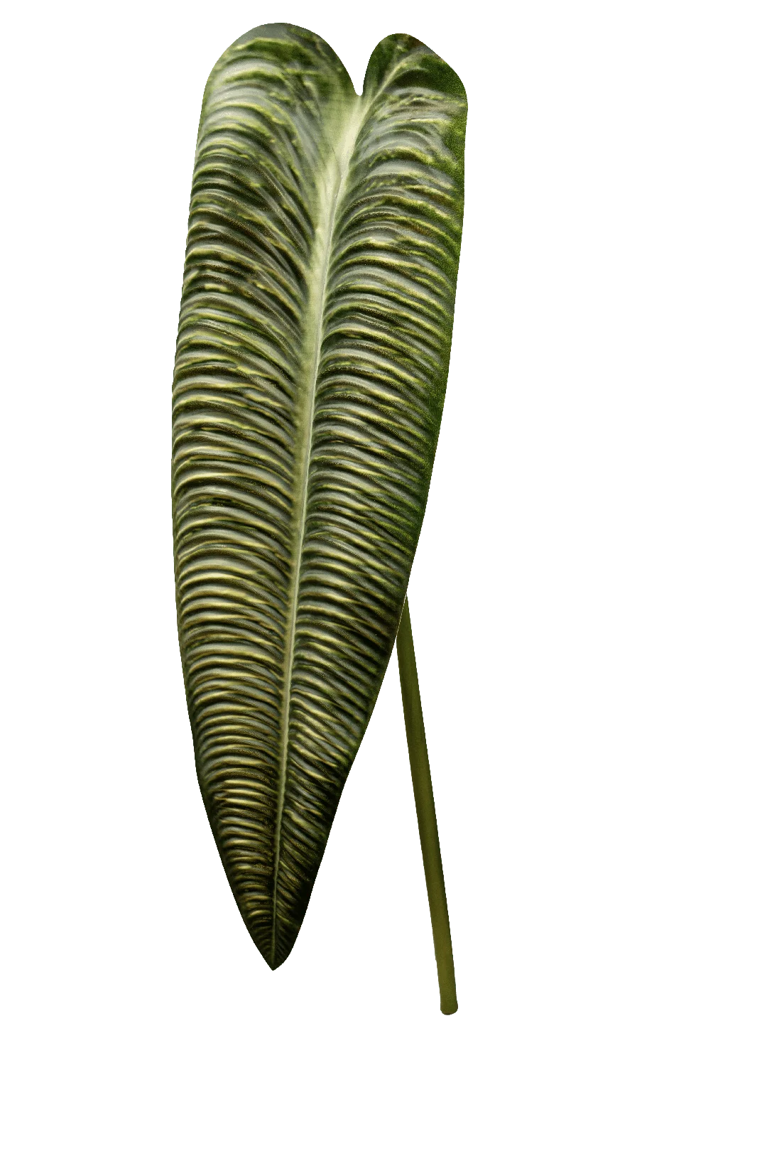 Elephant Ear (Fresh Green) | Vyne Artificial Elephant Ear Leaf — Fresh Green | Vyne Boutique