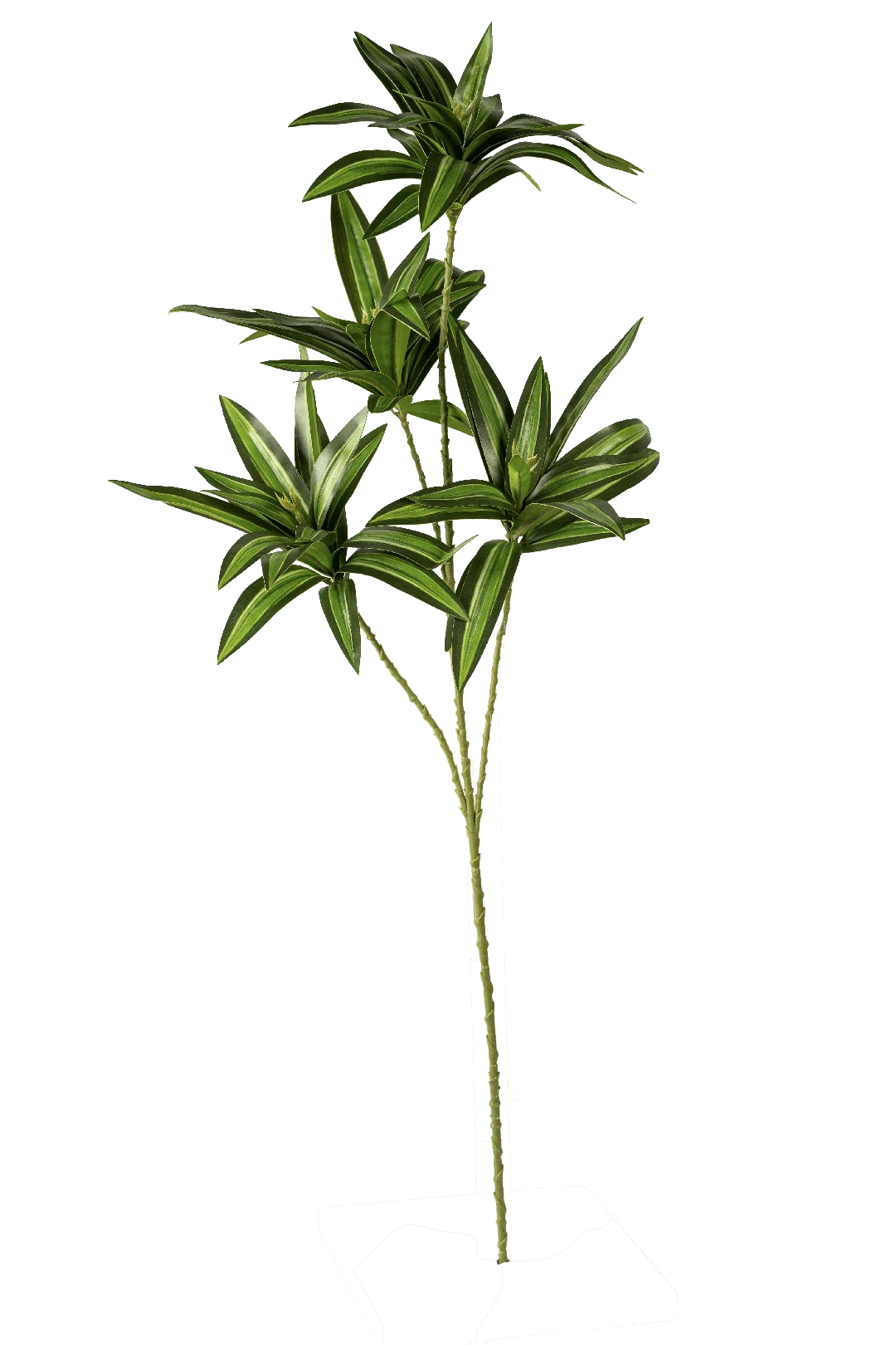 Dracaena Foliage (Fresh Spring Green) | Vyne Artificial Dracaena Foliage — Fresh Spring Green | Vyne