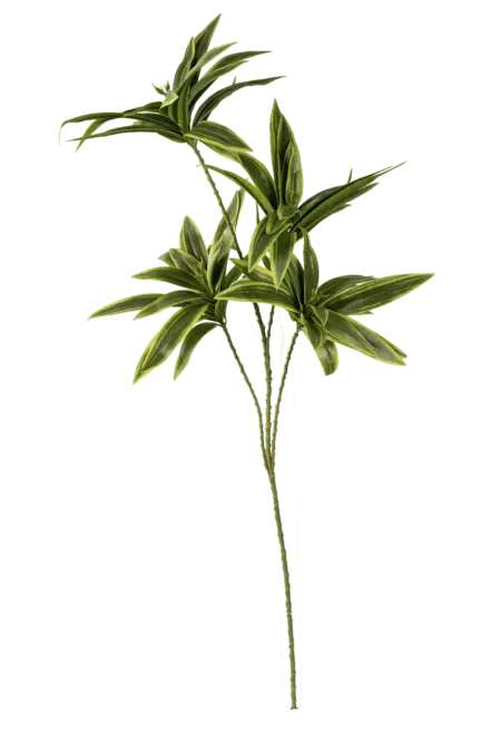 Artificial Dracaena Foliage — Variegated Green | Vyne Boutique