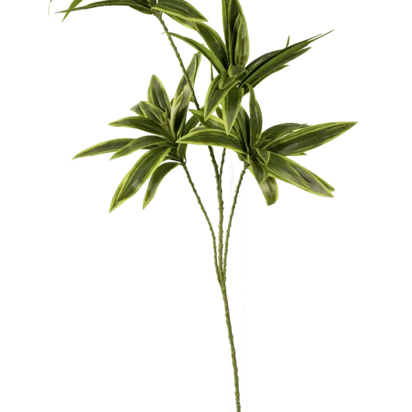 Artificial Dracaena Foliage — Variegated Green | Vyne Boutique