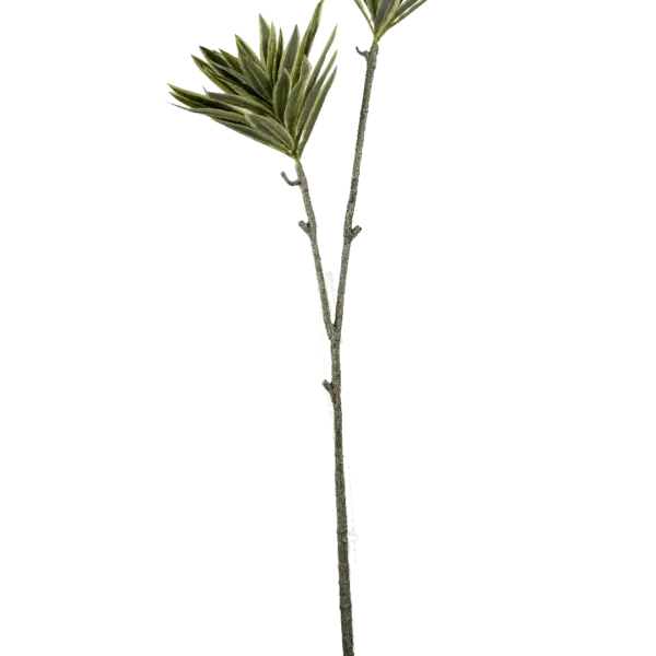 Artificial Dracaena Plant — Spring Green | Vyne Boutique