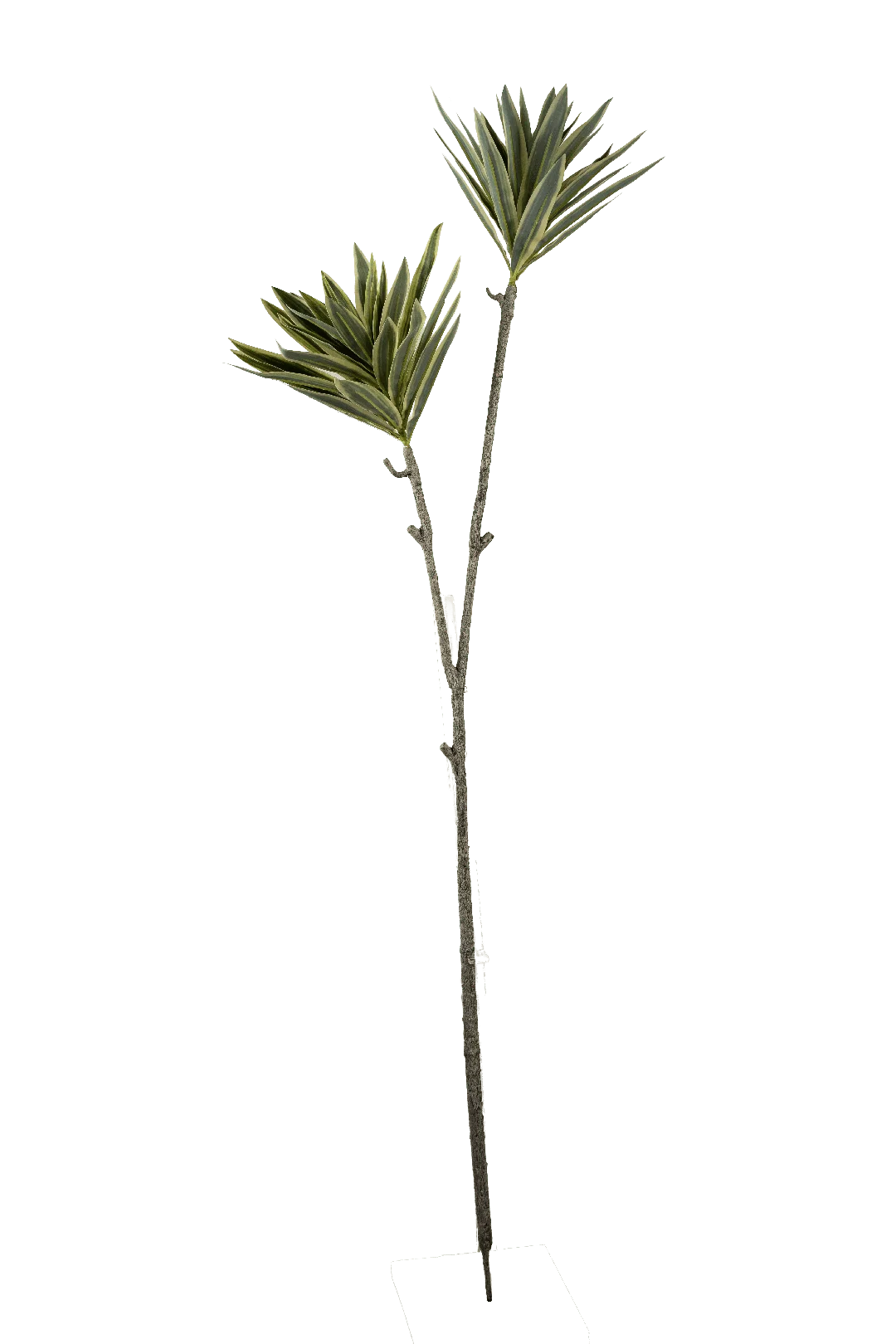 Dracaena (Spring Green) | Vyne Artificial Dracaena Plant — Spring Green | Vyne Boutique