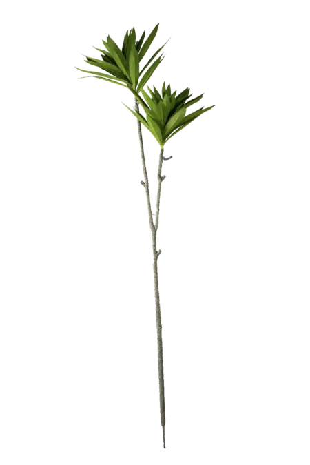 Artificial Dracaena Plant — Frost Edge | Vyne Boutique