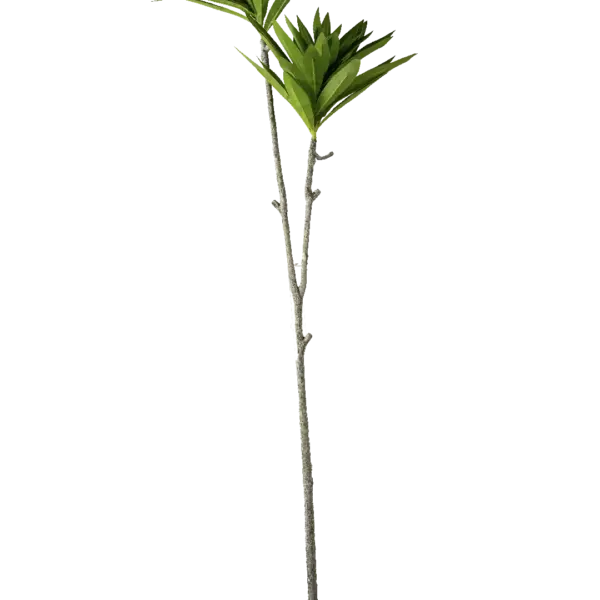 Artificial Dracaena Plant — Frost Edge | Vyne Boutique