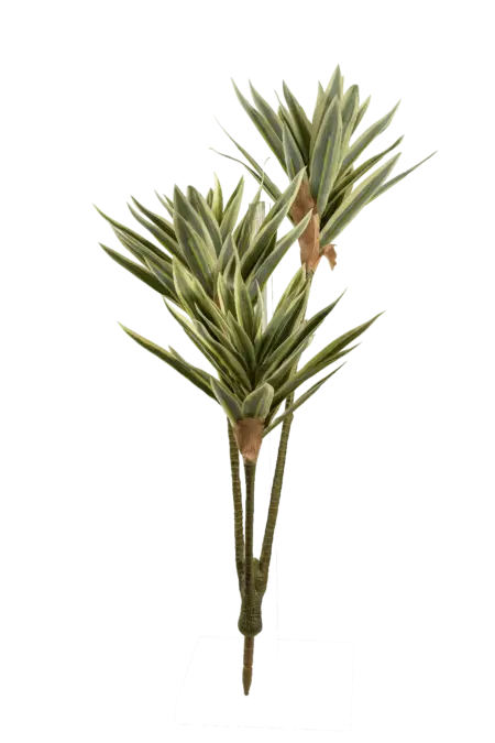 Artificial Cordyline Plant — Spring Green Pale Lime Margin | Vyne