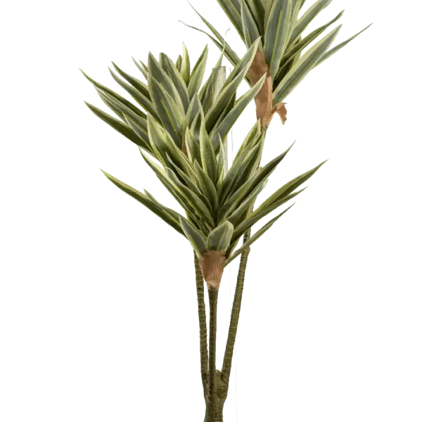 Artificial Cordyline Plant — Spring Green Pale Lime Margin | Vyne
