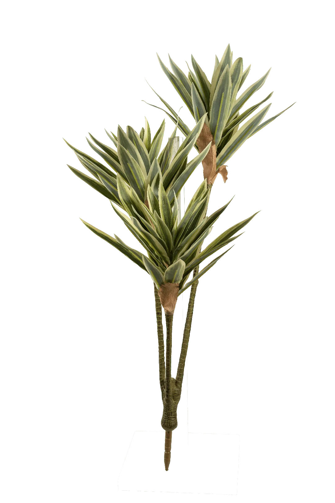Cordyline (Spring Green Core Pale Lime Margin) | Vyne Artificial Cordyline Plant — Spring Green Pale Lime Margin | Vyne