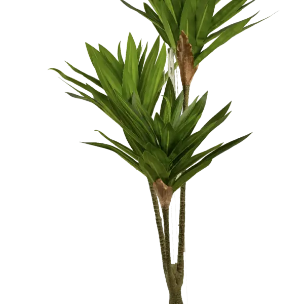 Artificial Cordyline Plant — Fresh Green | Vyne Boutique