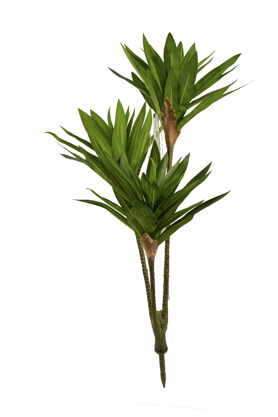 Cordyline (Fresh Green) | Vyne Artificial Cordyline Plant — Fresh Green | Vyne Boutique