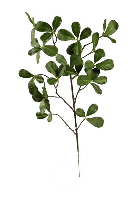 Artificial Ficus Foliage — Fresh Jade Green Microcarpa | Vyne