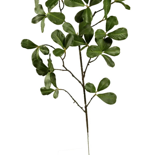 Artificial Ficus Foliage — Fresh Jade Green Microcarpa | Vyne