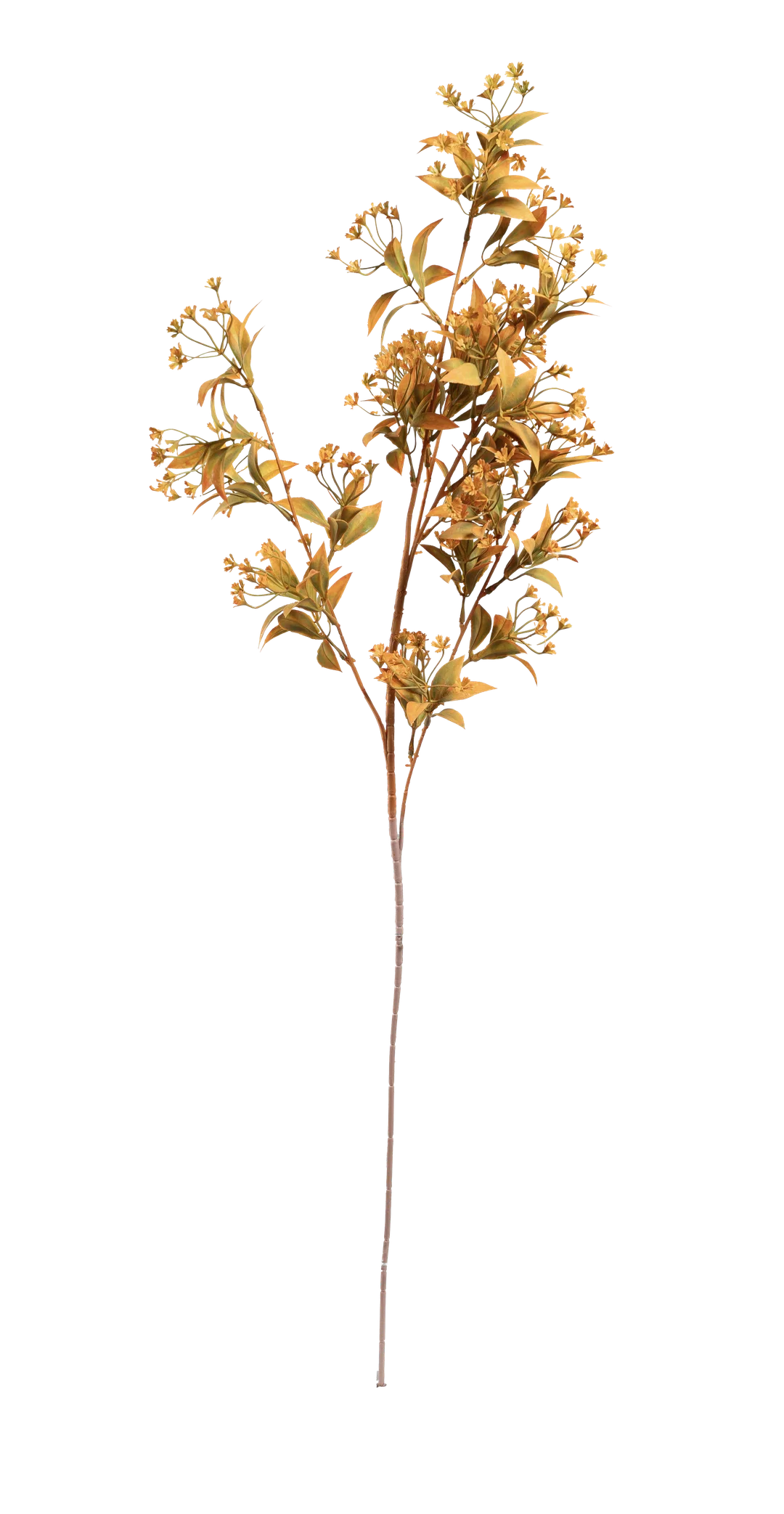 Myrtus Spray (Soft Apricot) | Vyne Artificial Myrtus Spray — Soft Apricot | Vyne Boutique