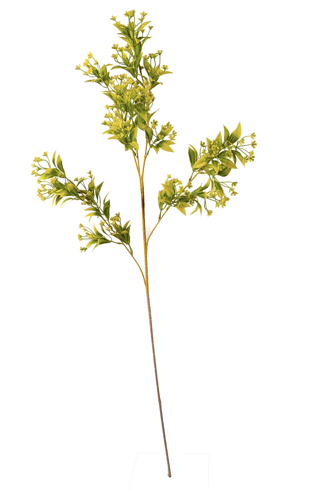 Myrtus Spray (Chartreuse) | Vyne Artificial Myrtus Spray — Chartreuse | Vyne Boutique