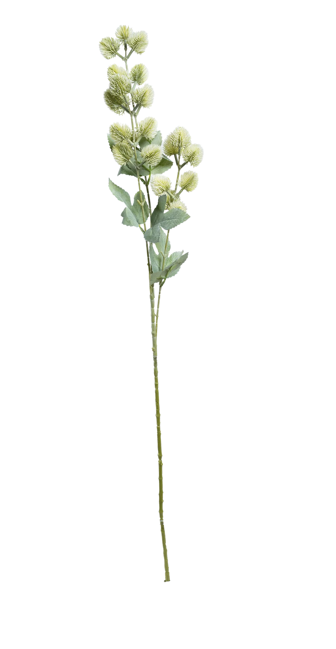 Thistle (Pale Sage) | Vyne Artificial Thistle Stem — Pale Sage | Vyne Boutique