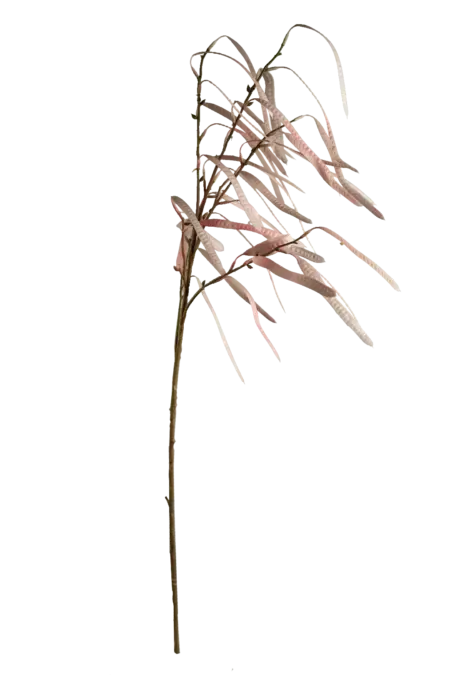 Artificial Berry Stem — Blush Petal Bean Pod | Vyne