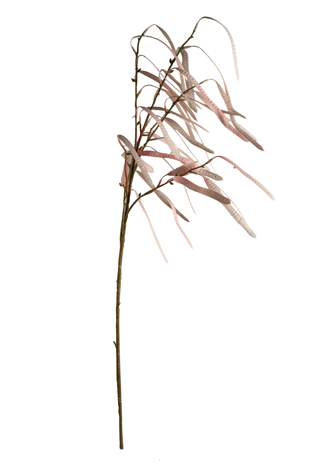 Bean Pod Spray (Blush Petal) | Vyne Artificial Berry Stem — Blush Petal Bean Pod | Vyne