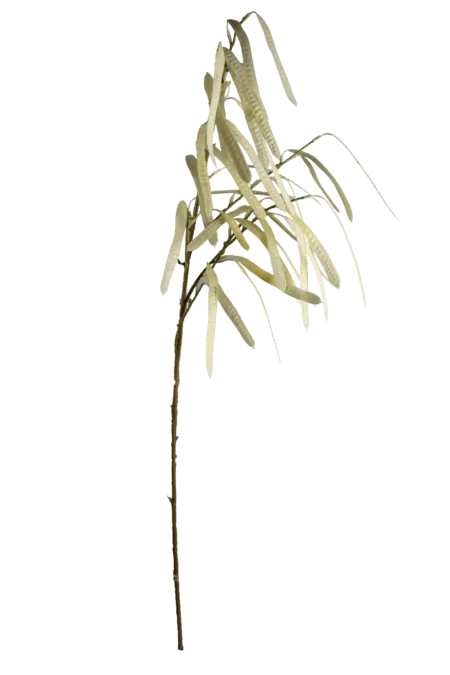 Artificial Berry Stem — Ivory Dew Bean Pod | Vyne