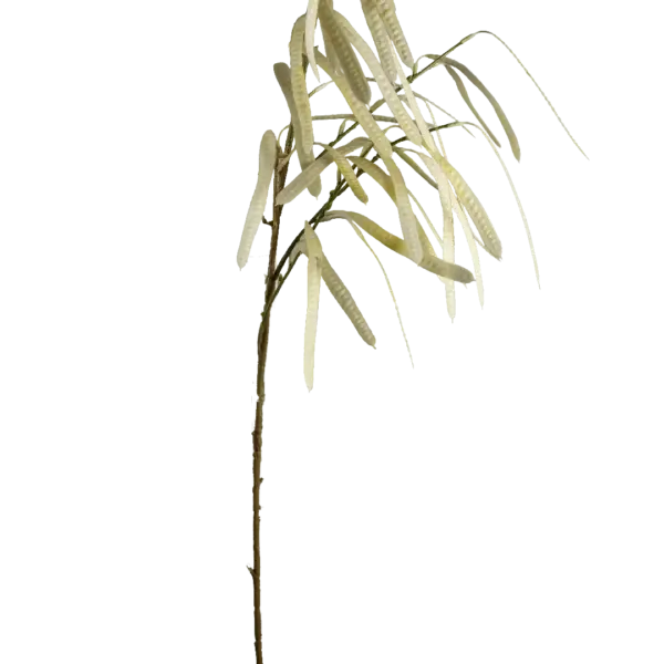 Artificial Berry Stem — Ivory Dew Bean Pod | Vyne