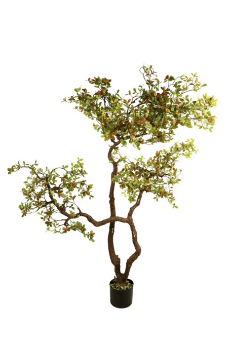 Artificial Oak Tree — Wildwood Foliage 200cm | Vyne Boutique