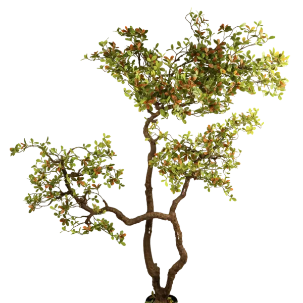 Artificial Oak Tree — Wildwood Foliage 200cm | Vyne Boutique