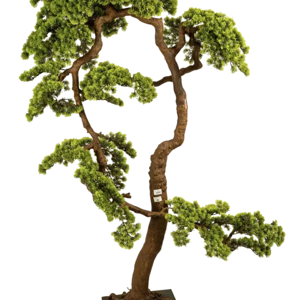Artificial Juniper Bonsai Tree — 170cm | Vyne Boutique