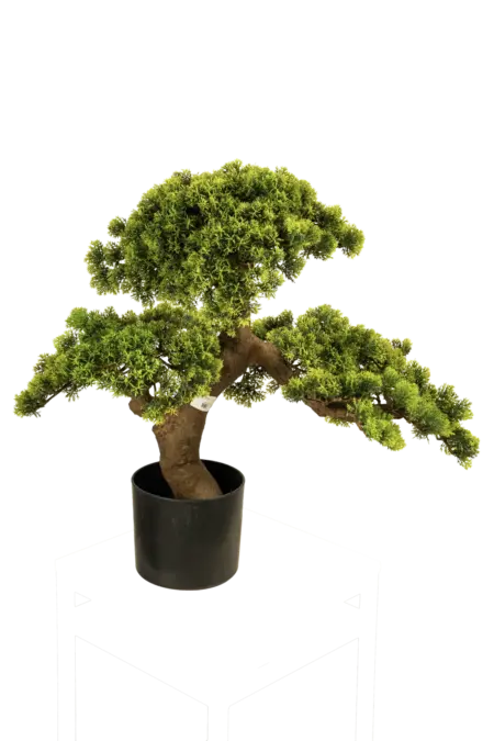 Artificial Juniper Bonsai Tree — 60cm | Vyne Boutique