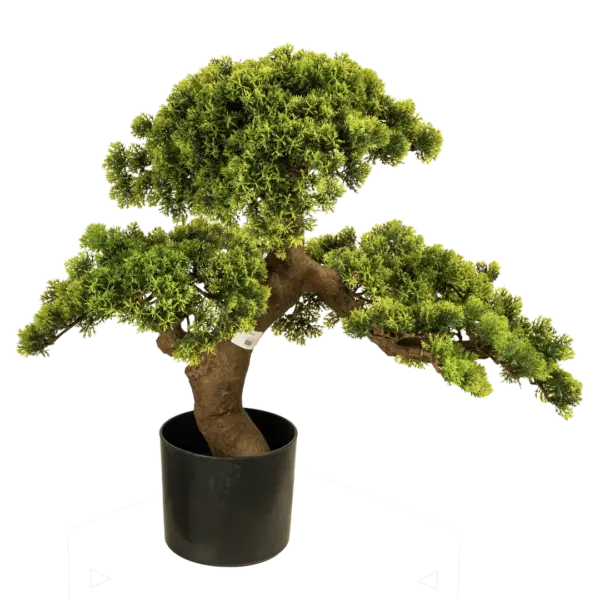 Artificial Juniper Bonsai Tree — 60cm | Vyne Boutique