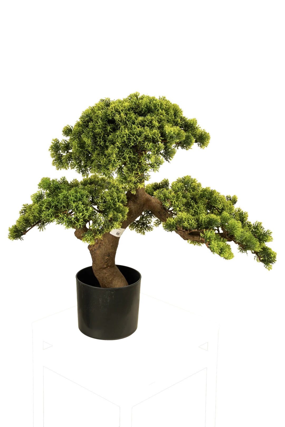 Juniper Bonsai (60cm) | Vyne Artificial Juniper Bonsai Tree — 60cm | Vyne Boutique