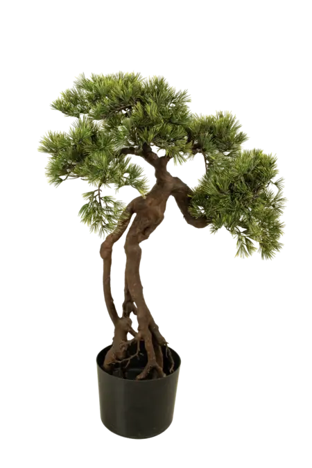Artificial Pine Bonsai Tree — 95cm | Vyne Boutique