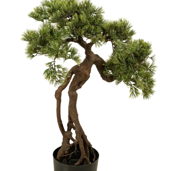 Artificial Pine Bonsai Tree — 95cm | Vyne Boutique