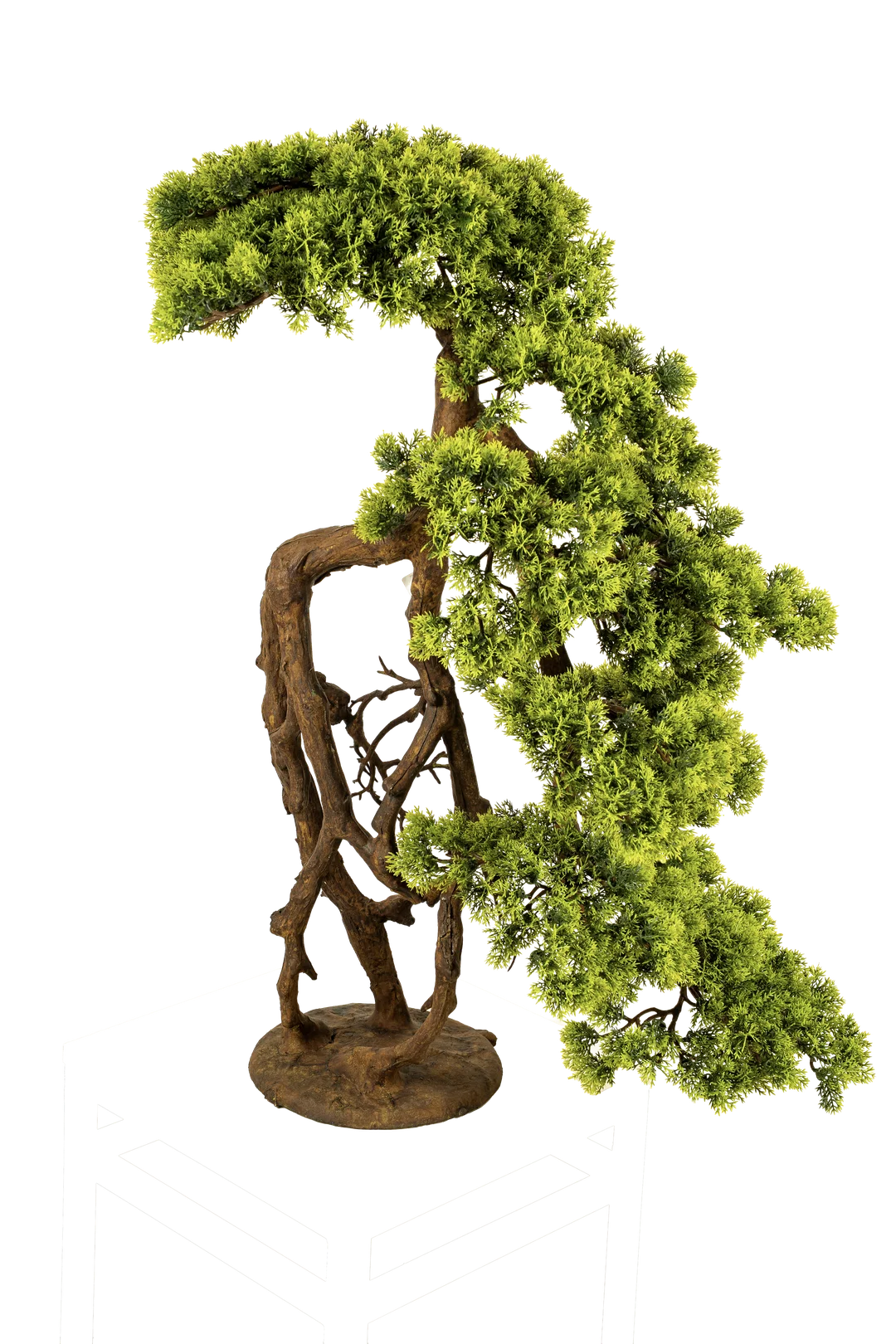 Juniper Bonsai (70cm) | Vyne Artificial Juniper Bonsai Tree — 70cm | Vyne Boutique