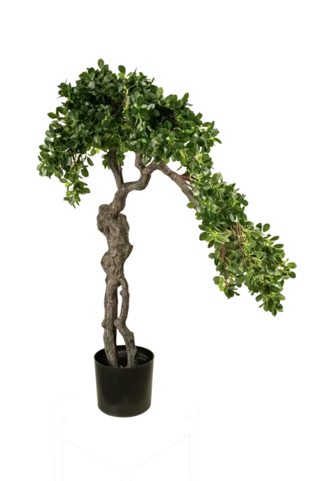 Artificial Ficus Microcarpa Bonsai — 100cm | Vyne Boutique