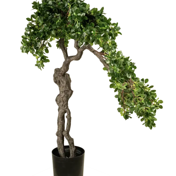 Artificial Ficus Microcarpa Bonsai — 100cm | Vyne Boutique