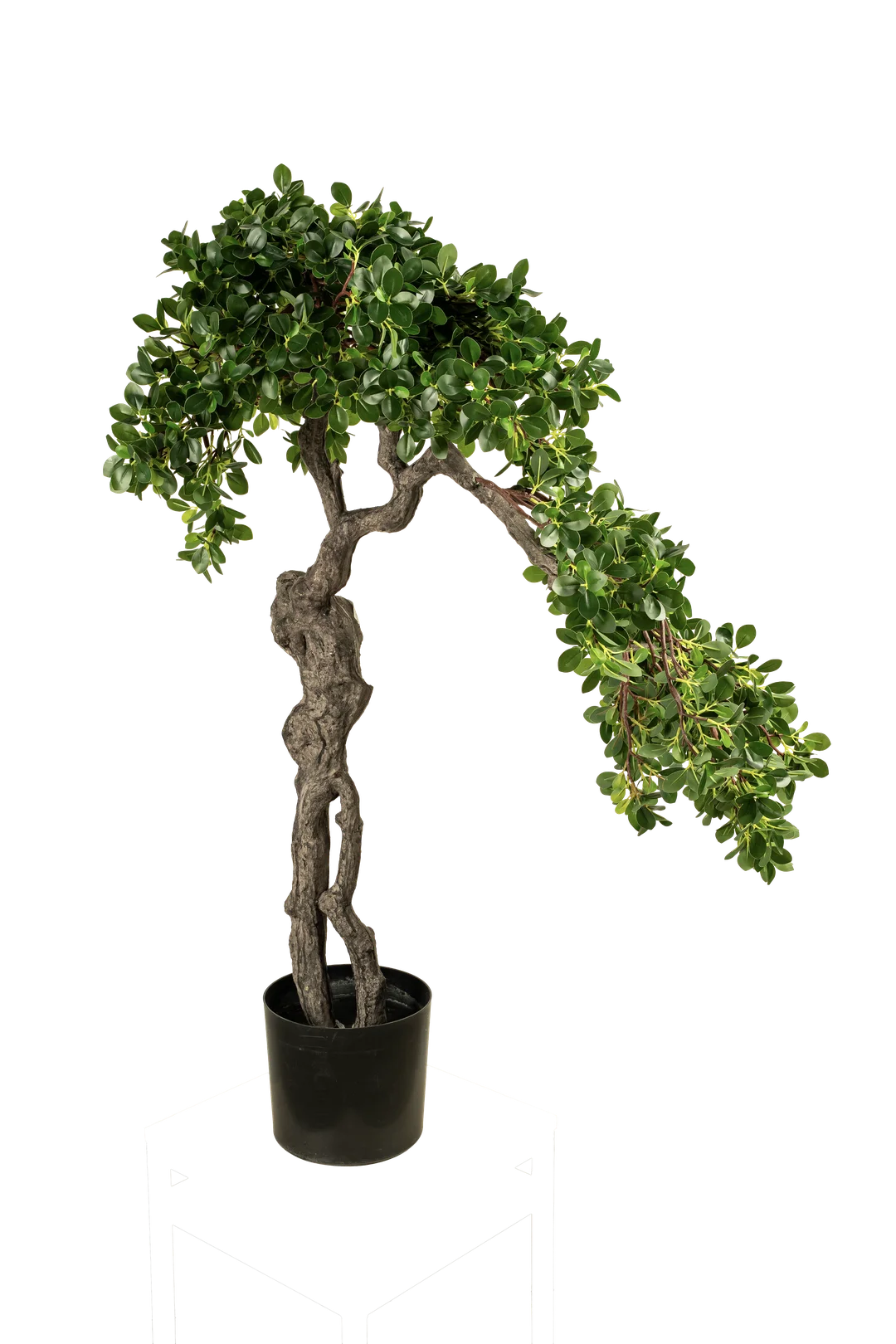 Ficus Microcarpa Bonsai (100cm) | Vyne Artificial Ficus Microcarpa Bonsai — 100cm | Vyne Boutique