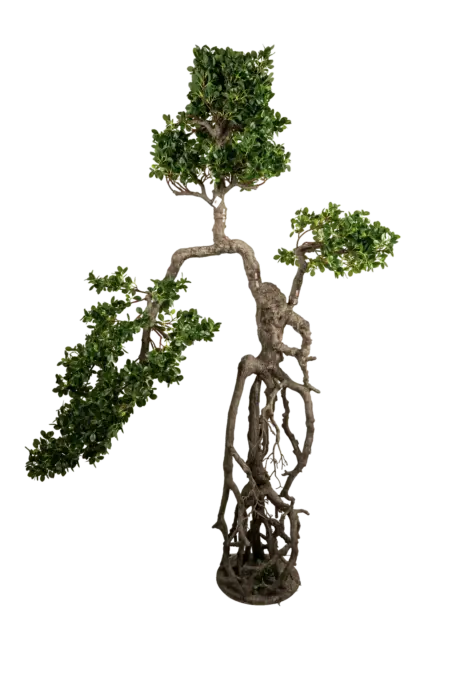 Artificial Ficus Microcarpa Bonsai — 190cm | Vyne Boutique