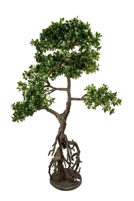 Artificial Ficus Microcarpa Bonsai — 150cm | Vyne Boutique
