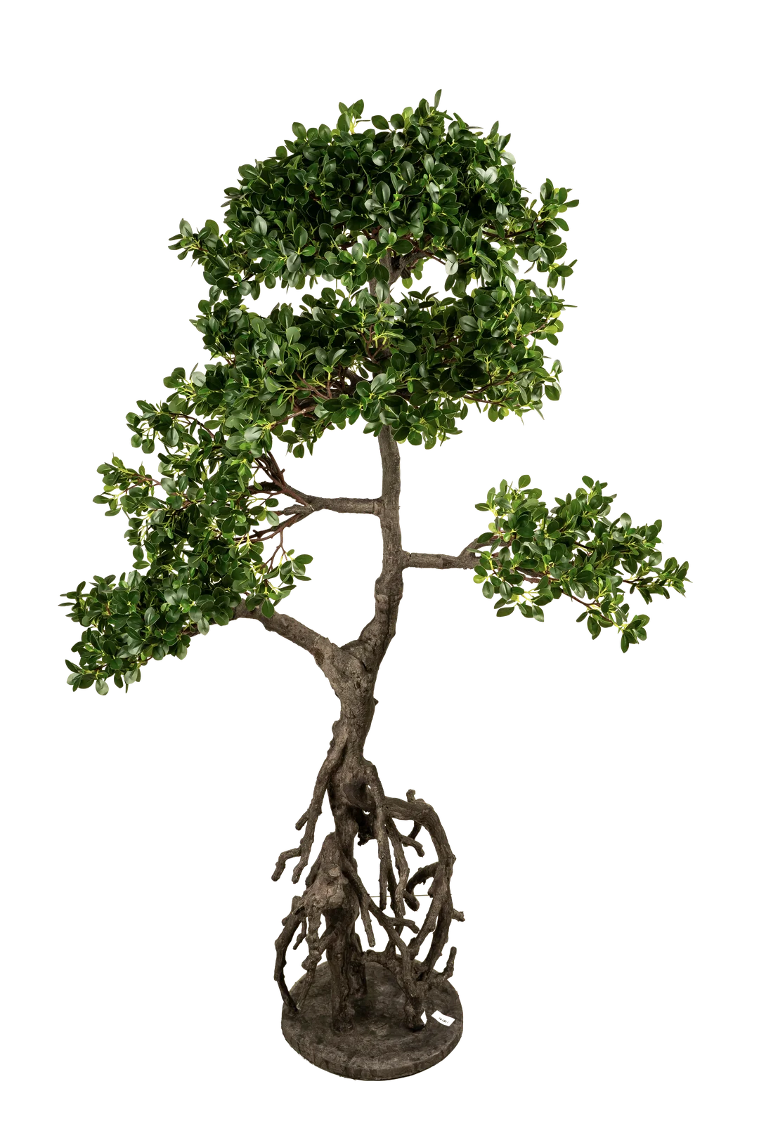 Ficus Microcarpa Bonsai (150cm) | Vyne Artificial Ficus Microcarpa Bonsai — 150cm | Vyne Boutique