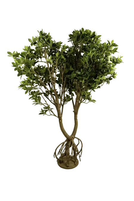 Artificial Ficus Microcarpa Tree — 220cm | Vyne Boutique
