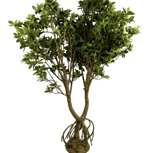 Artificial Ficus Microcarpa Tree — 220cm | Vyne Boutique