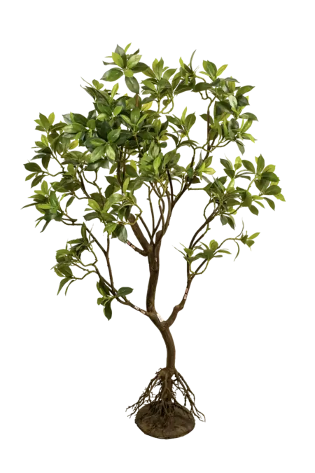 Artificial Ficus Microcarpa Tree — 220cm | Vyne Boutique