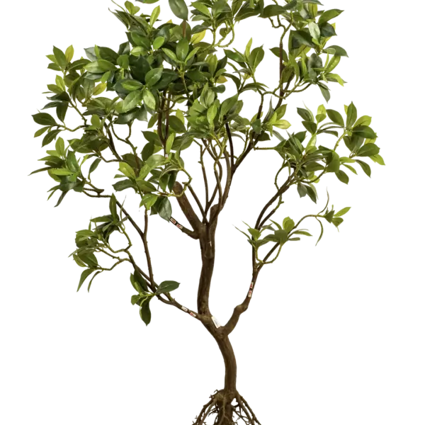 Artificial Ficus Microcarpa Tree — 220cm | Vyne Boutique
