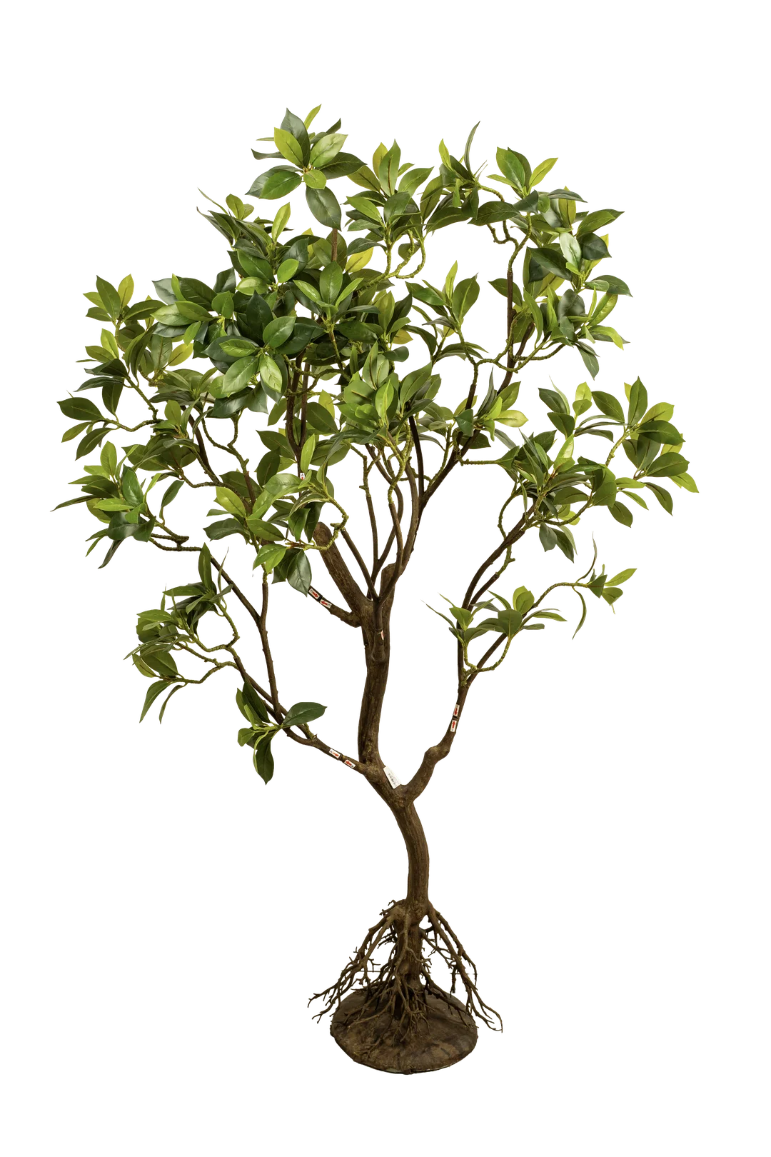 Ficus Microcarpa (220cm) | Vyne Artificial Ficus Microcarpa Tree — 220cm | Vyne Boutique