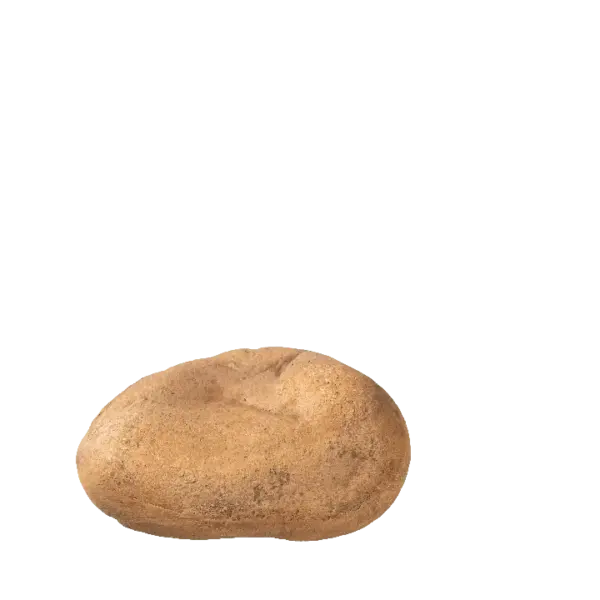 Vyne Stone Element — Drift Stone | Vyne Boutique