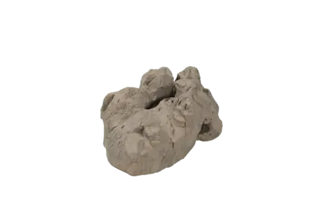 Vyne Stone Element — Wildstone Taihu Cradle | Vyne Boutique