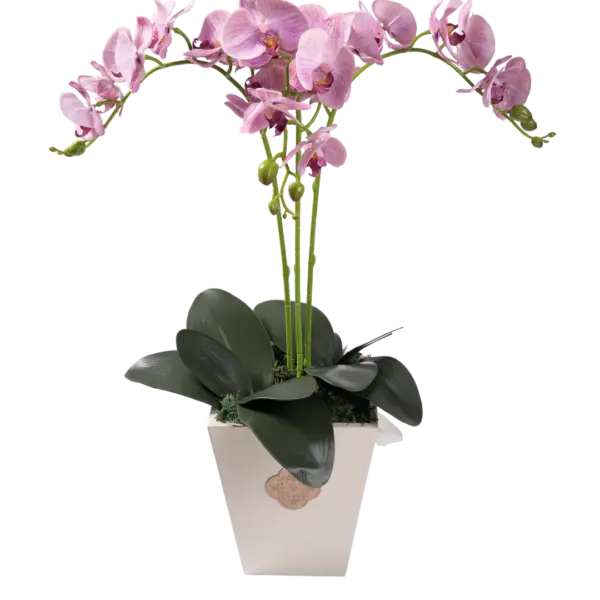 Mother's Love — Artificial Orchid Arrangement | Vyne Boutique