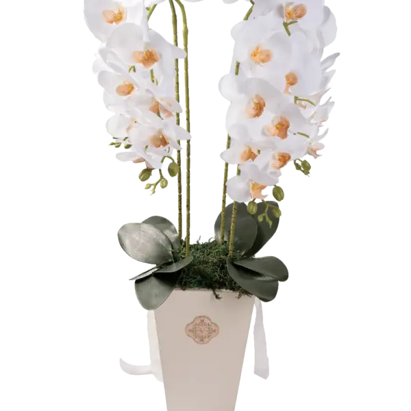New Beginnings — Artificial Orchid Arrangement | Vyne Boutique