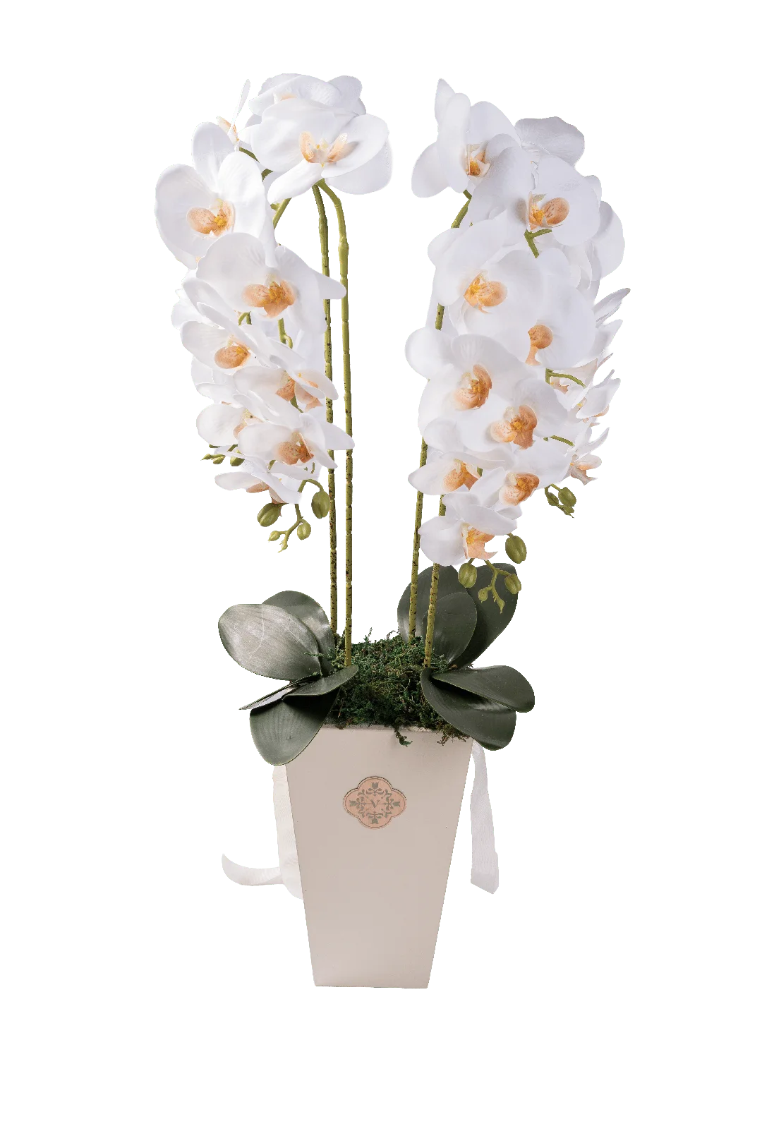 New Beginnings | Vyne New Beginnings — Artificial Orchid Arrangement | Vyne Boutique