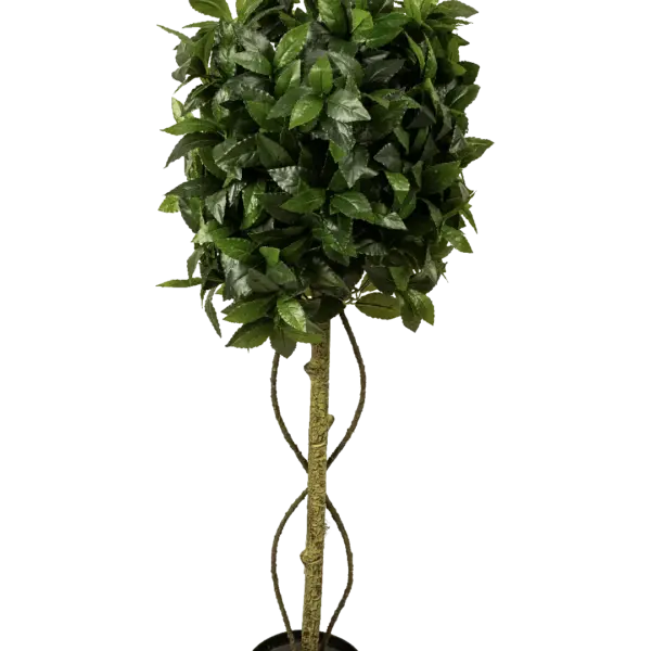 Artificial Eugenia Topiary Ball — 100cm | Vyne Boutique