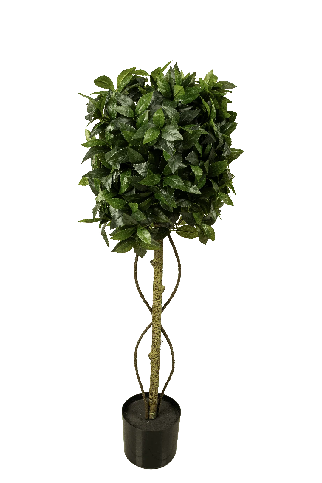 Eugenia (Syzygium) Topiary Ball 100cm | Vyne Artificial Eugenia Topiary Ball — 100cm | Vyne Boutique