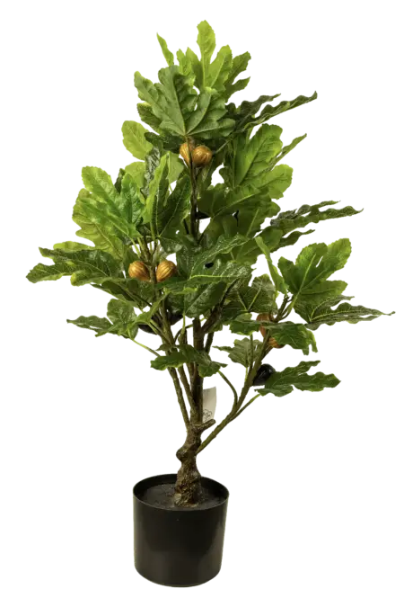 Artificial Fig Tree — Mediterranean 80cm | Vyne Boutique